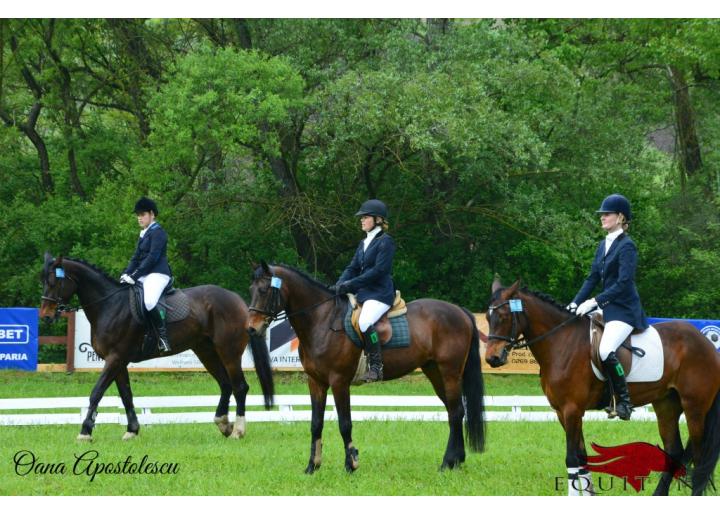 Între 8-10 mai 2015 are loc concursul Transylvania Horse Show