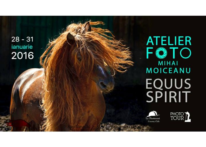 Atelier de fotografie Equus Spirit