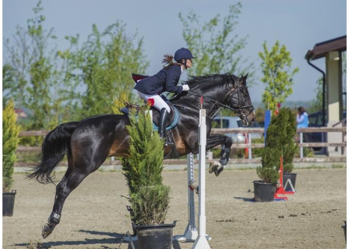 Familia Regală a României participă la  Finala Circuitului Salonul Calului