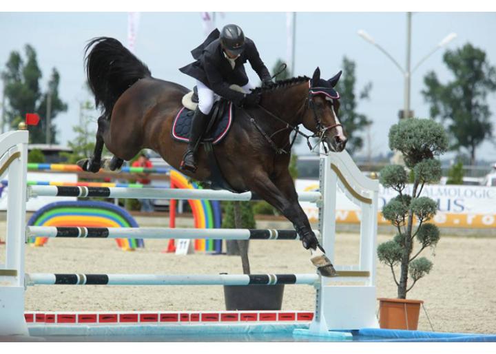 Curs arbitri la Club Sportiv Equestria, Tâncăbești, jud. Ilfov