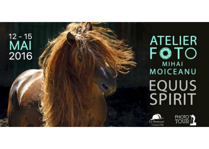 Atelier Foto Equus Spirit cu Mihai Moiceanu 2016