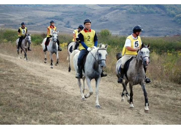 Concurs de anduranță- Etapa zonală, Sibiu