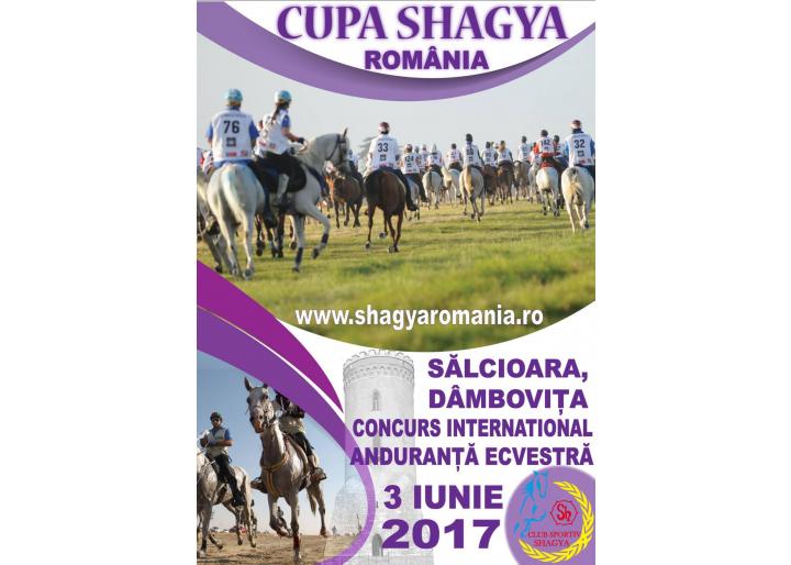 Concurs international de anduranţă, Cupa Shagya ediţia a II-a