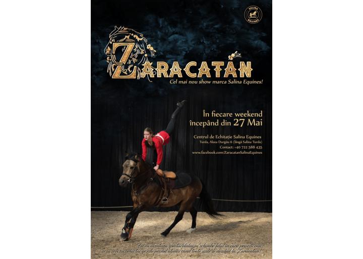 Zaracatan by Salina Equines, Turda