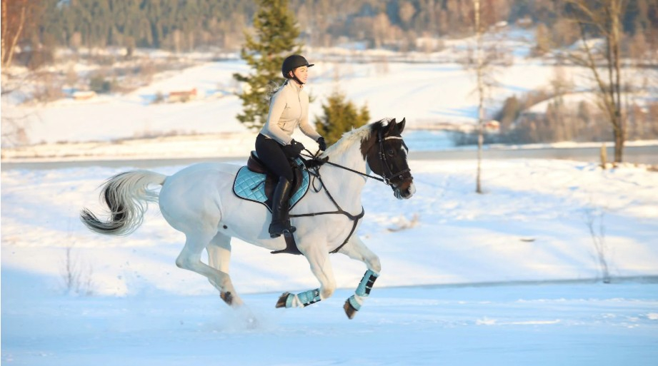 winter-riding